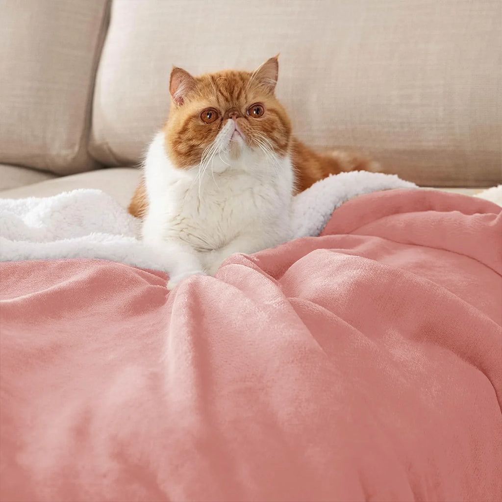 Plush Fleece-backed Blanket