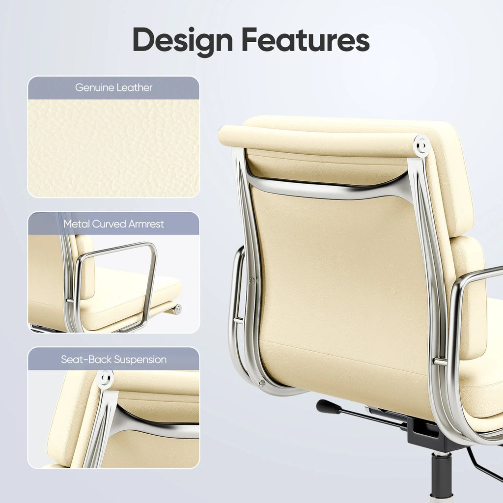 Padded-back Ergonomic Office Chair with Lumbar Support, Mid-back or High-back