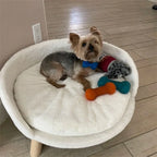 Ultra Soft Elevated Dog Cat Sofa Bed Couch Pet Puppy Chair Backrest Stool Seat Lounger with Removable Waterproof Padded Cushion
Elevated Pet Bed with Backrest