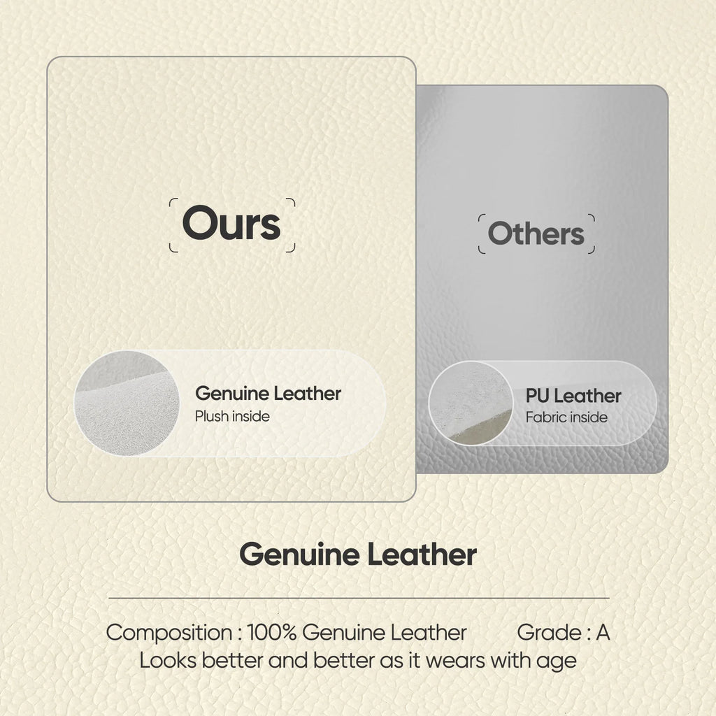 Padded-back Ergonomic Office Chair with Lumbar Support, Mid-back or High-back